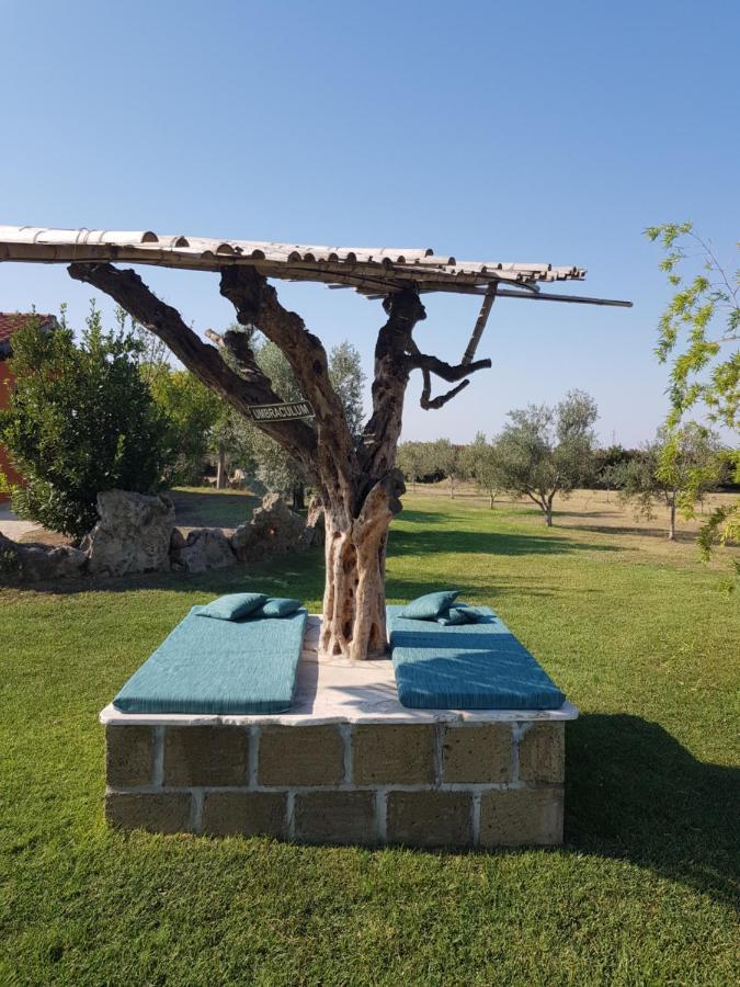 Casa Daniele Guest House Canino Ngoại thất bức ảnh